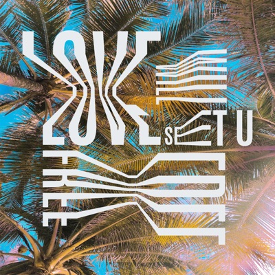 Monkey Safari — Love Will Set U Free