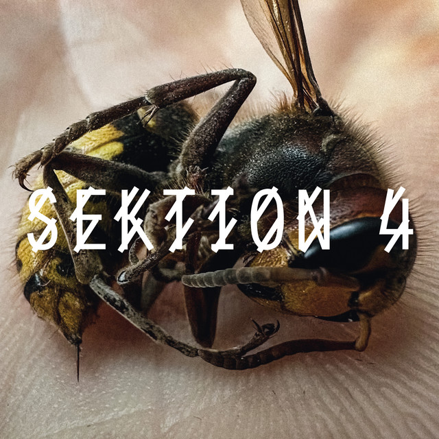 Various Artists — SEKTION 4